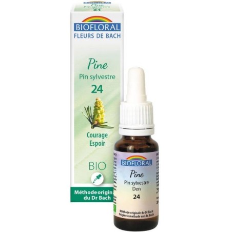 24 Pin sylvestre (Pine) Flacon 20 ml
