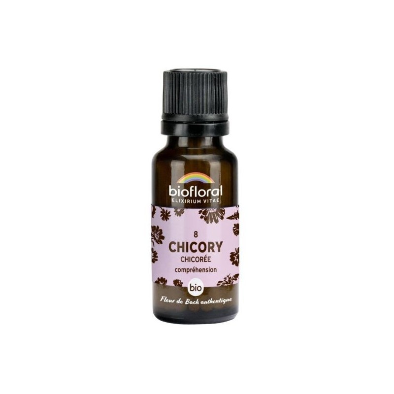 Chicorée granules Granules 19