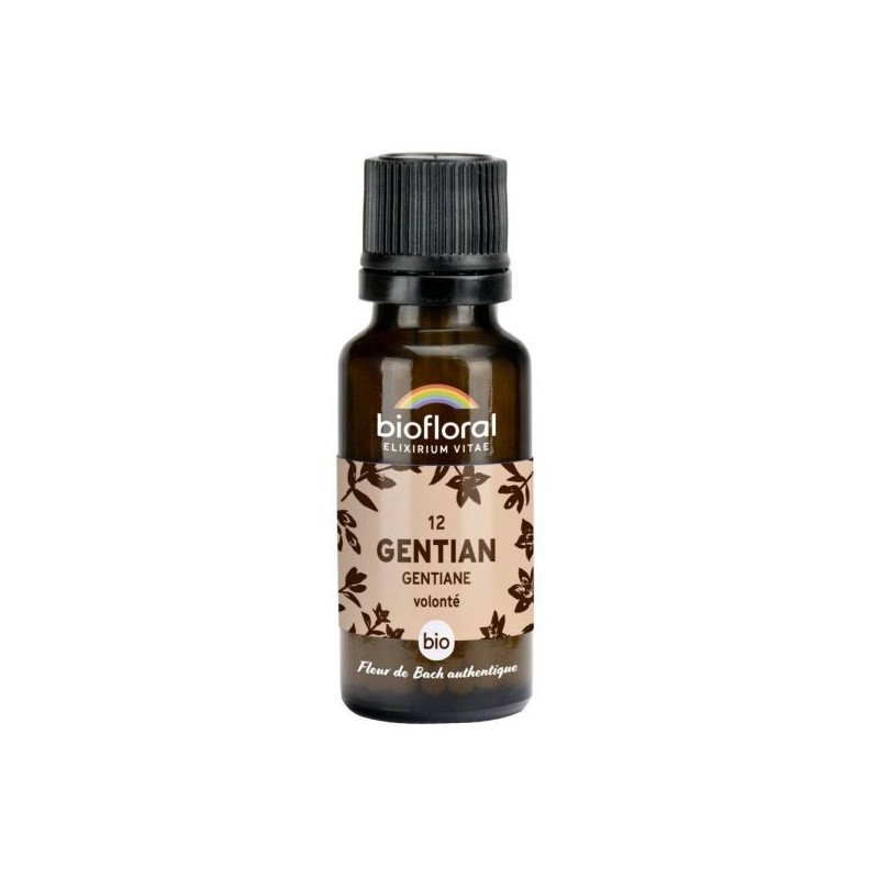 Gentiane granules Granules 19