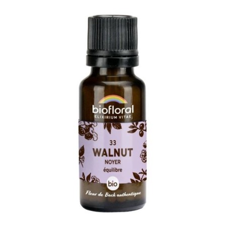 Noyer granules Granules 19