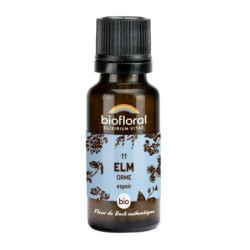 Orme granules Granules 19