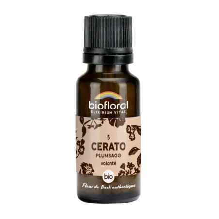 Plumbago granules Granules 19