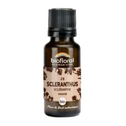 Scléranthe granules Granules 19