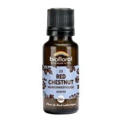 Marronier rouge granules Granules 19