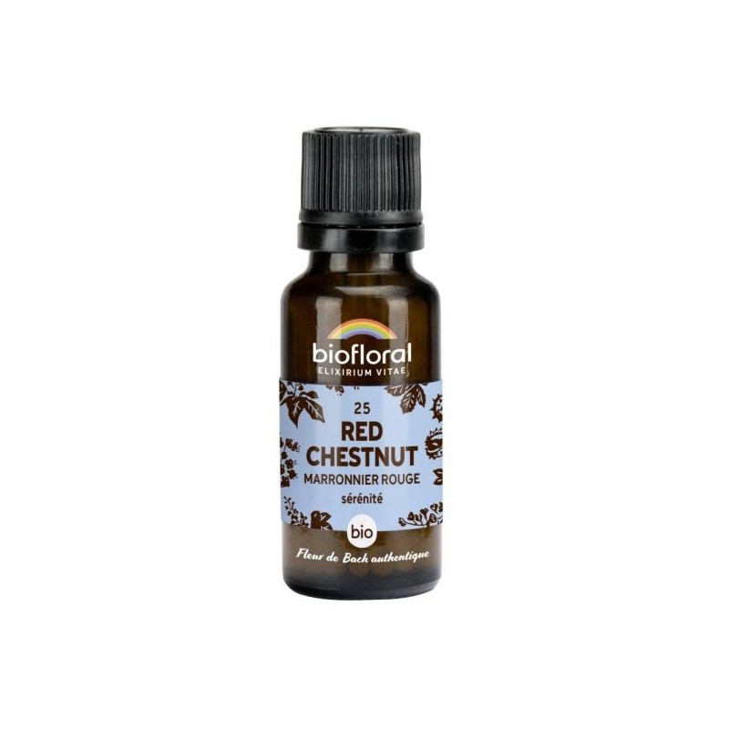 Marronier rouge granules Granules 19