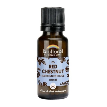 Marronier rouge granules Granules 19