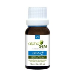 22 Gem-Homme Flacon 15 ml