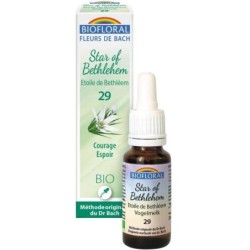 29 Etoile de Bethléem (Star of Bethlehem) Flacon 20 ml