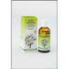Achillea millefolium (Millefeuille) Flacon de 50 ml