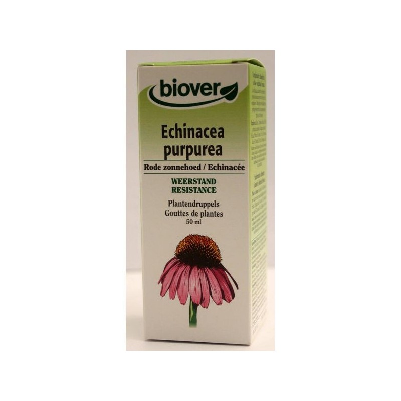 Echinacea purpurea (Echinacée) Flacon de 50 ml