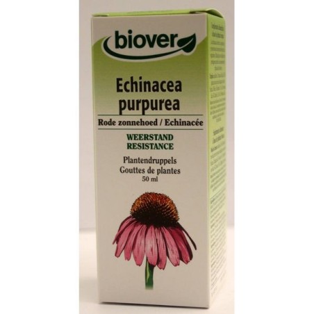 Echinacea purpurea (Echinacée) Flacon de 50 ml