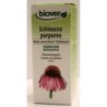 Echinacea purpurea (Echinacée) Flacon de 50 ml