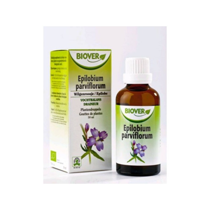 Epilobium parviflorum (Epilobe) Flacon de 50 ml