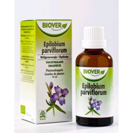 Epilobium parviflorum (Epilobe) Flacon de 50 ml