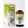 Epilobium parviflorum (Epilobe) Flacon de 50 ml