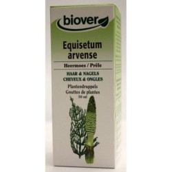 Equisetum arvense (Prêle) Flacon de 50 ml