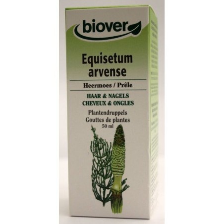 Equisetum arvense (Prêle) Flacon de 50 ml