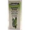 Equisetum arvense (Prêle) Flacon de 50 ml