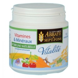 Vitalité (12 vitamines & 9 minéraux d'origine naturelle)