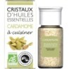 Cardamome Flacon 10 g
