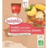 Pomme Abricot Banane Pack de 4 x 90 g