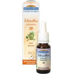 28 Scléranthe (Scleranthus) Flacon 20 ml