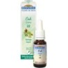 22 Chêne (Oak) Flacon 20 ml