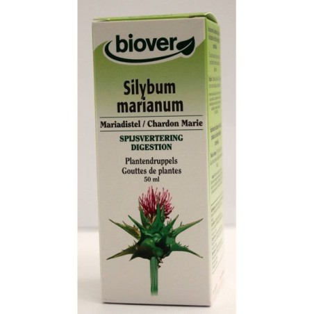 Silybum marianum (Chardon marie) Flacon de 50 ml