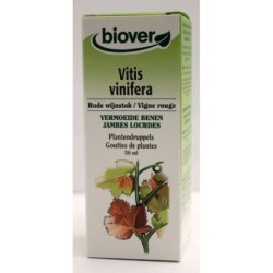 Vitis vinifera (Vigne rouge) Flacon de 50 ml