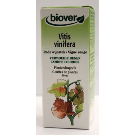 Vitis vinifera (Vigne rouge) Flacon de 50 ml