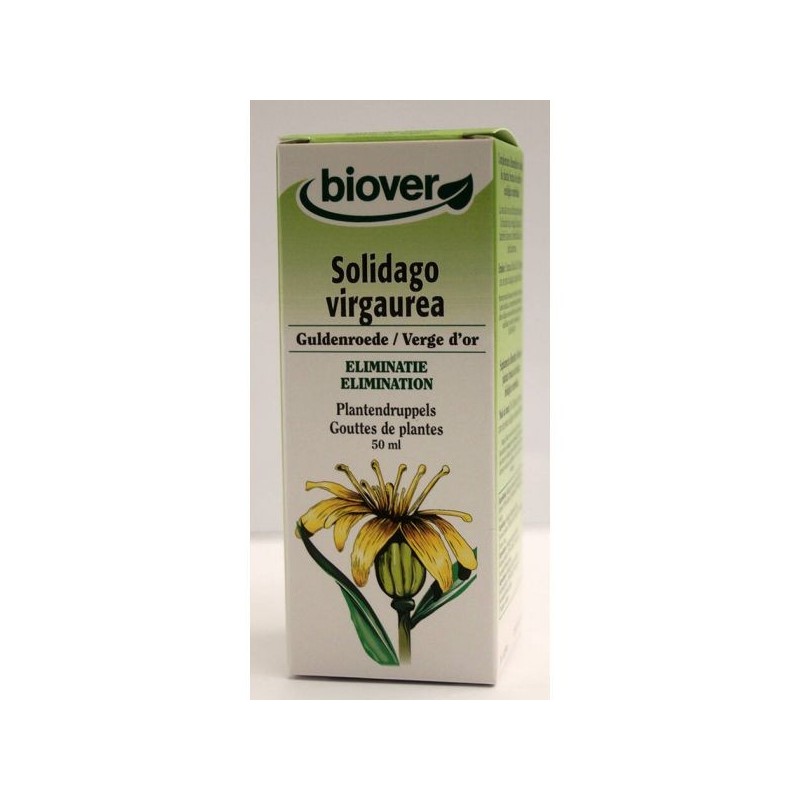 Solidago virgaurea (Verge d'or) Flacon de 50 ml