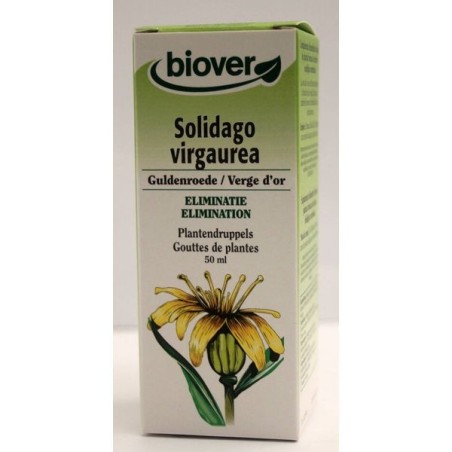 Solidago virgaurea (Verge d'or) Flacon de 50 ml