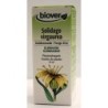 Solidago virgaurea (Verge d'or) Flacon de 50 ml