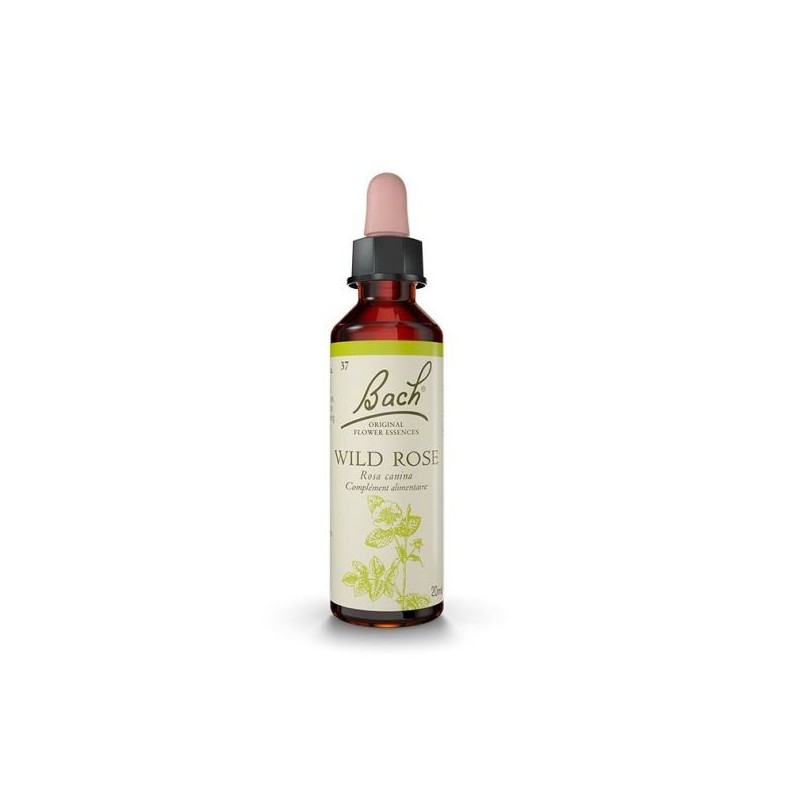 37  Wild Rose (Eglantier) Flacon 20 ml