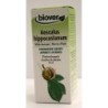 Aesculus hippocastanum (Marron d'inde) Flacon de 50 ml
