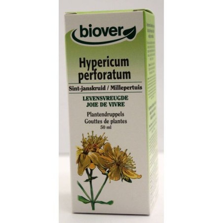 Hypericum perforatum (Millepertuis) Flacon de 50 ml
