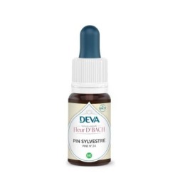 Pin sylvestre (Pine) Flacon Compte-gouttes 15 ml