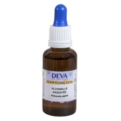 Alchemille argentée Flacon Compte-gouttes 15 ml