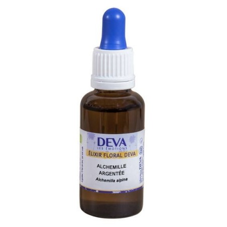 Alchemille argentée Flacon Compte-gouttes 15 ml