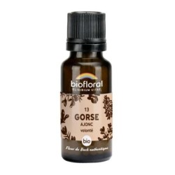 Ajonc granules Granules 19