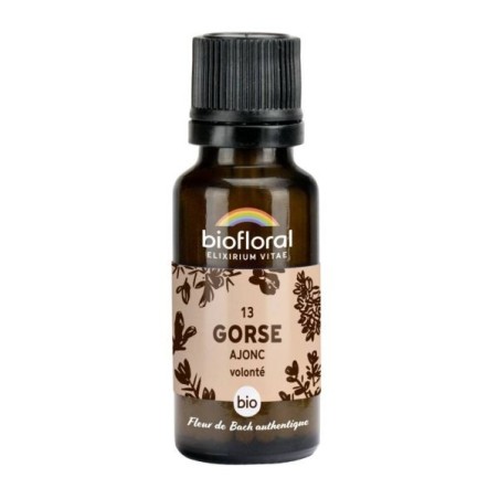 Ajonc granules Granules 19