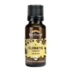 Clématite granules Granules 19