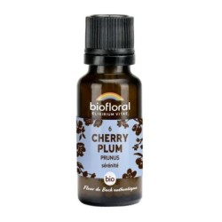 Prunus granules Granules 19