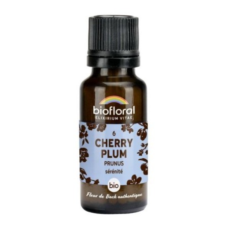 Prunus granules Granules 19