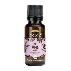 Vigne granules Granules 19