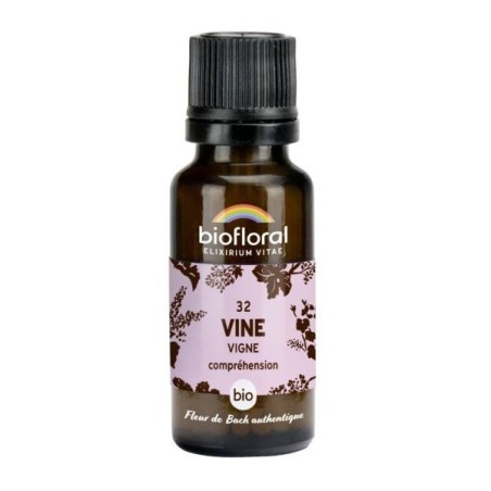 Vigne granules Granules 19