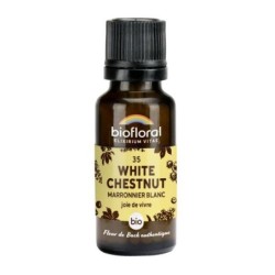 Marronier blanc granules Granules 19