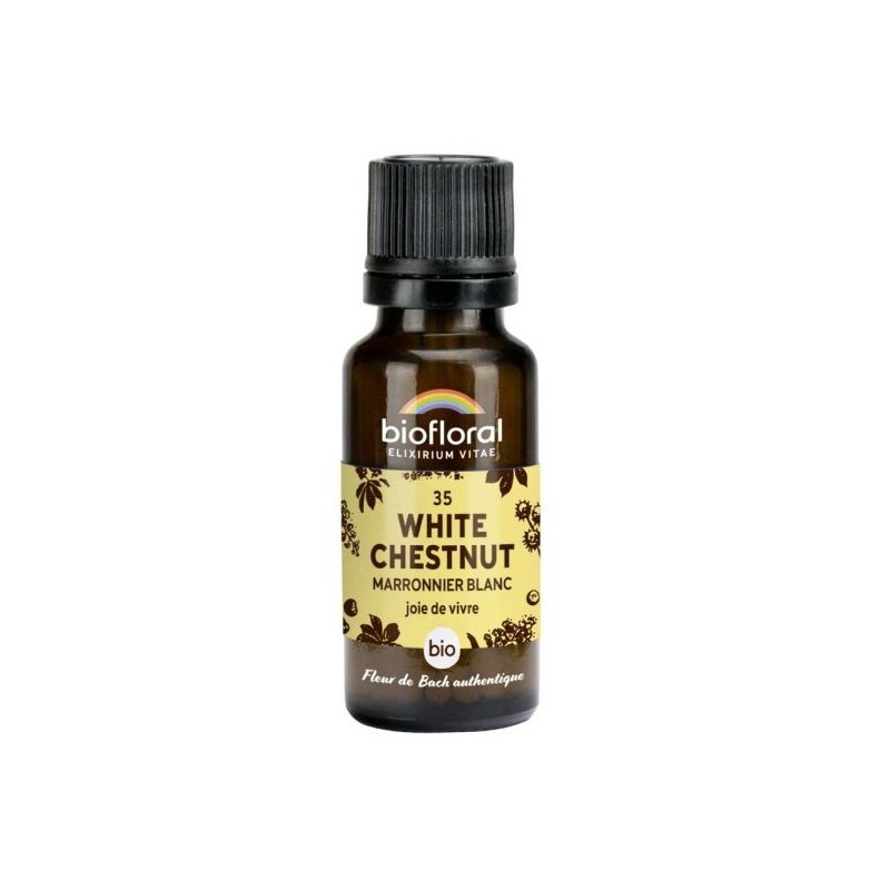 Marronier blanc granules Granules 19