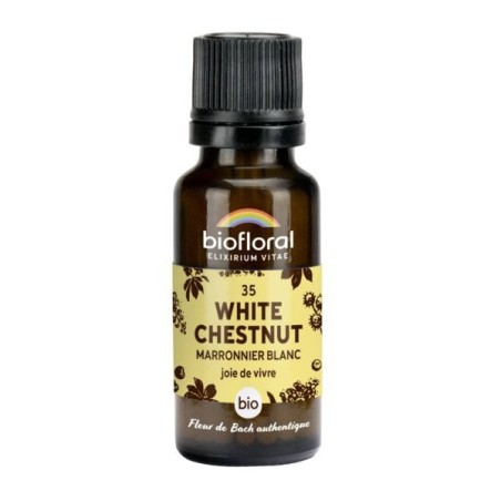 Marronier blanc granules Granules 19