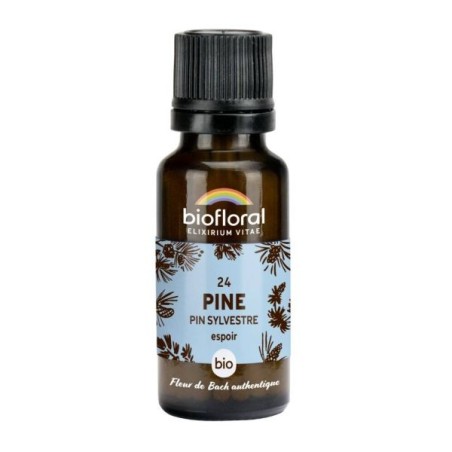 Pin sylvestre granules Granules 19